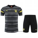 Tracksuit Borussia Dortmund Short Sleeve 22/23 Grey - Shorts