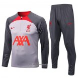 Sweatshirt Tracksuit Liverpool 22/23 Grey