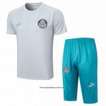 Tracksuit Palmeiras Short Sleeve 23/24 Grey - Shorts